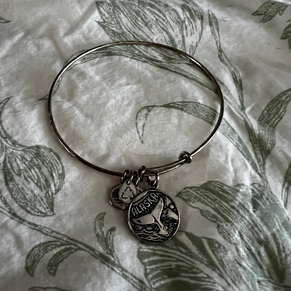 Alex and Ani Alaska Silver Charm Bangle